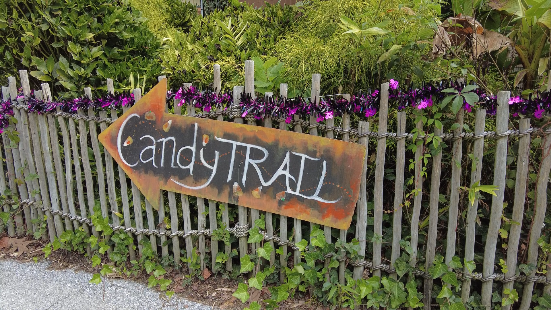 Salisbury Zoo and Salisbury University to co-host sensory-friendly Halloween event